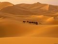 Desierto del sahara.jpg