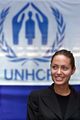 Angelina Jolie, ACNUR.jpg
