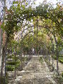 180px-Jardín del Príncipe de Anglona Madrid 2.jpg