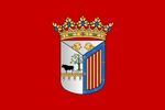Bandera-de-Salamanca.JPG